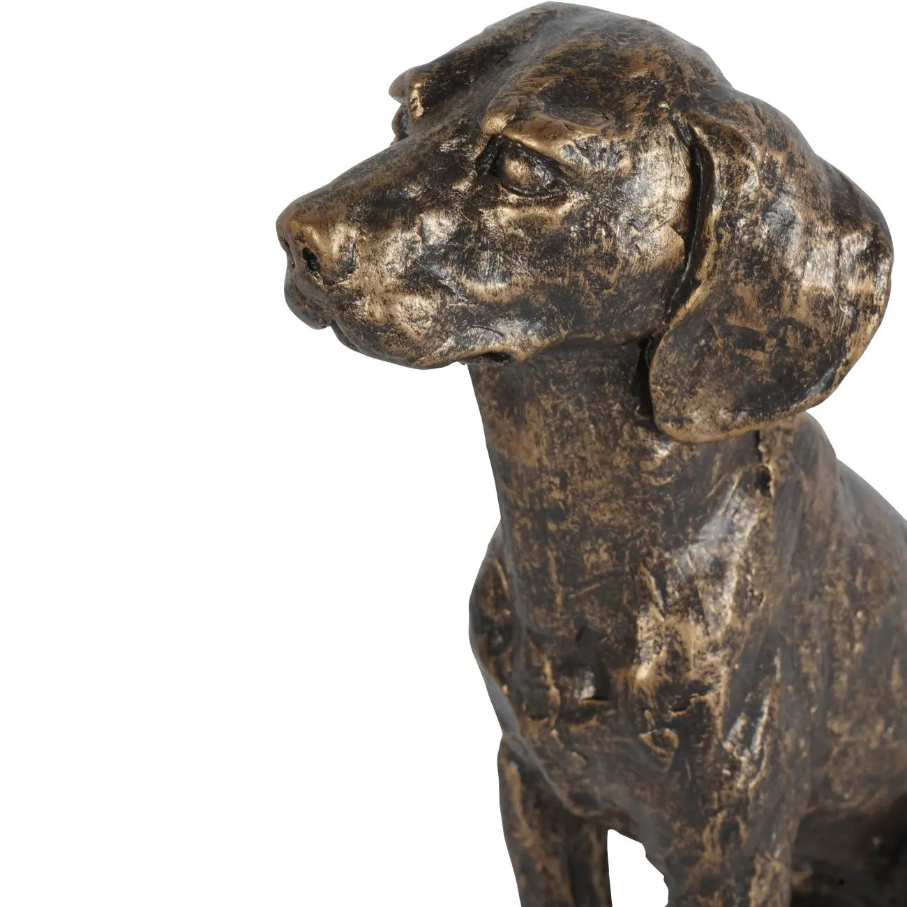Windham Bronze Large Sitting Dog Sculpture  Nicholas John Interiors