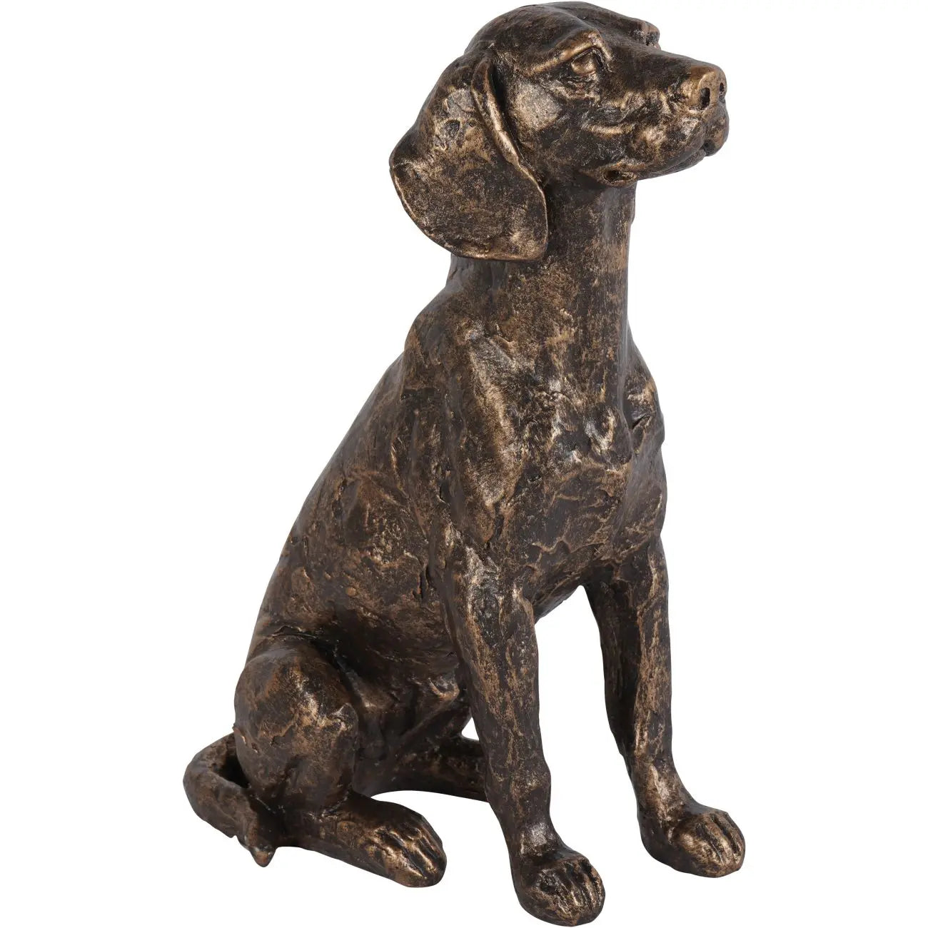 Windham Bronze Large Sitting Dog Sculpture  Nicholas John Interiors