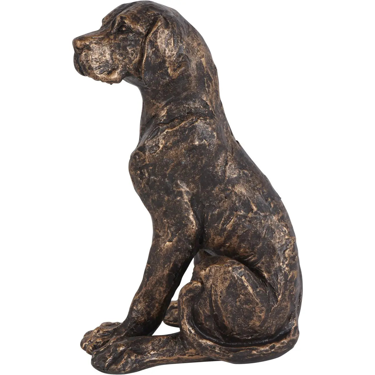 Windham Bronze Small Sitting Dog Sculpture  Nicholas John Interiors
