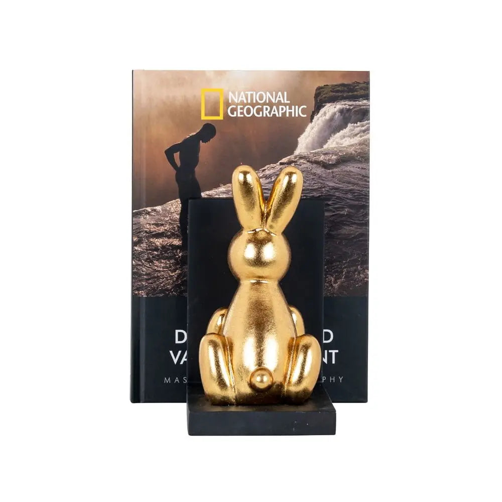Richmond Interiors Cony Bookends