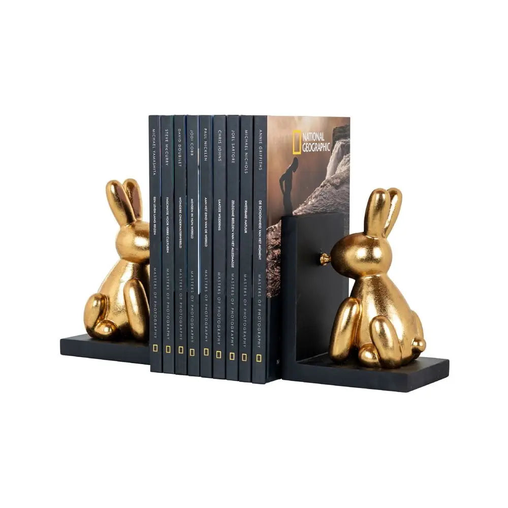 Richmond Interiors Cony Bookends