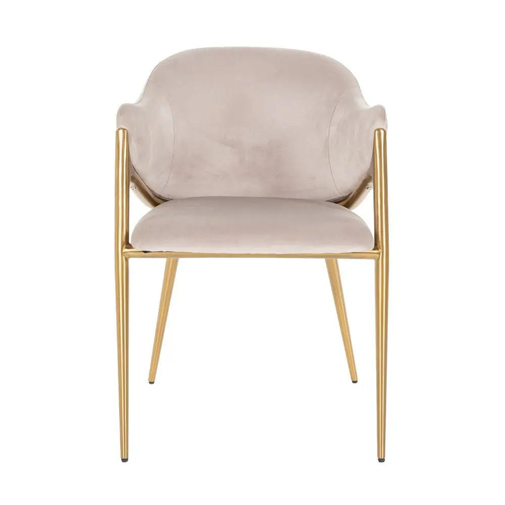 Richmond Interiors Gwen Chair in Khaki Velvet Dining Chair