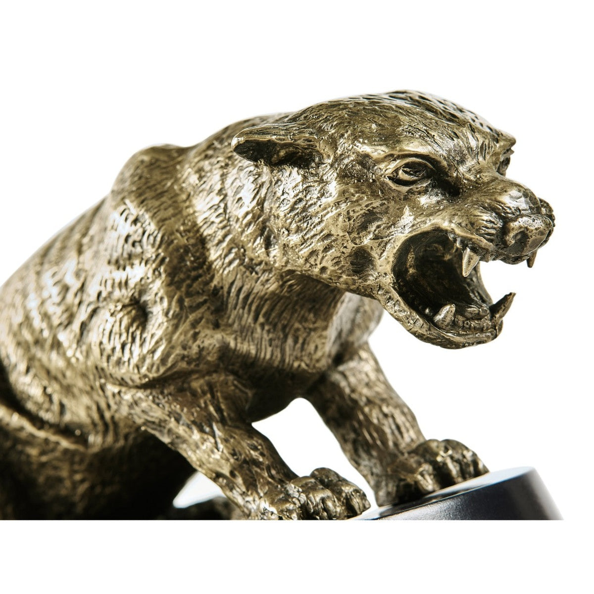 Close-up of roaring cougar head with greenish patina and etched fur texture detail