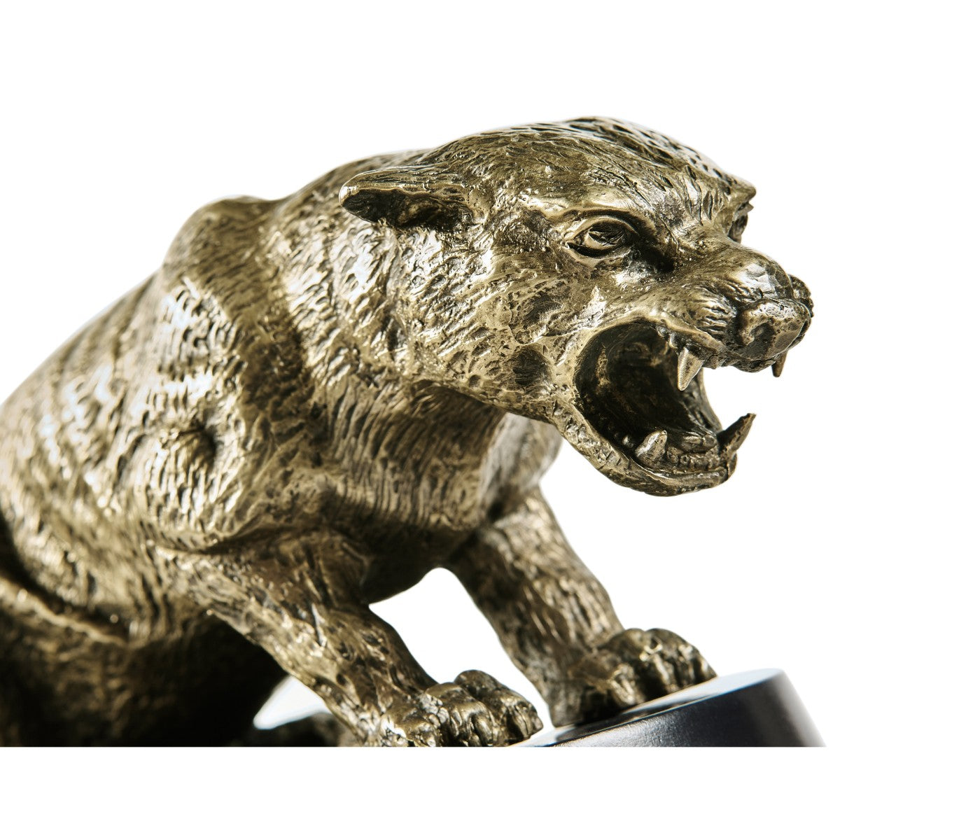 Close-up of roaring cougar head with greenish patina and etched fur texture detail