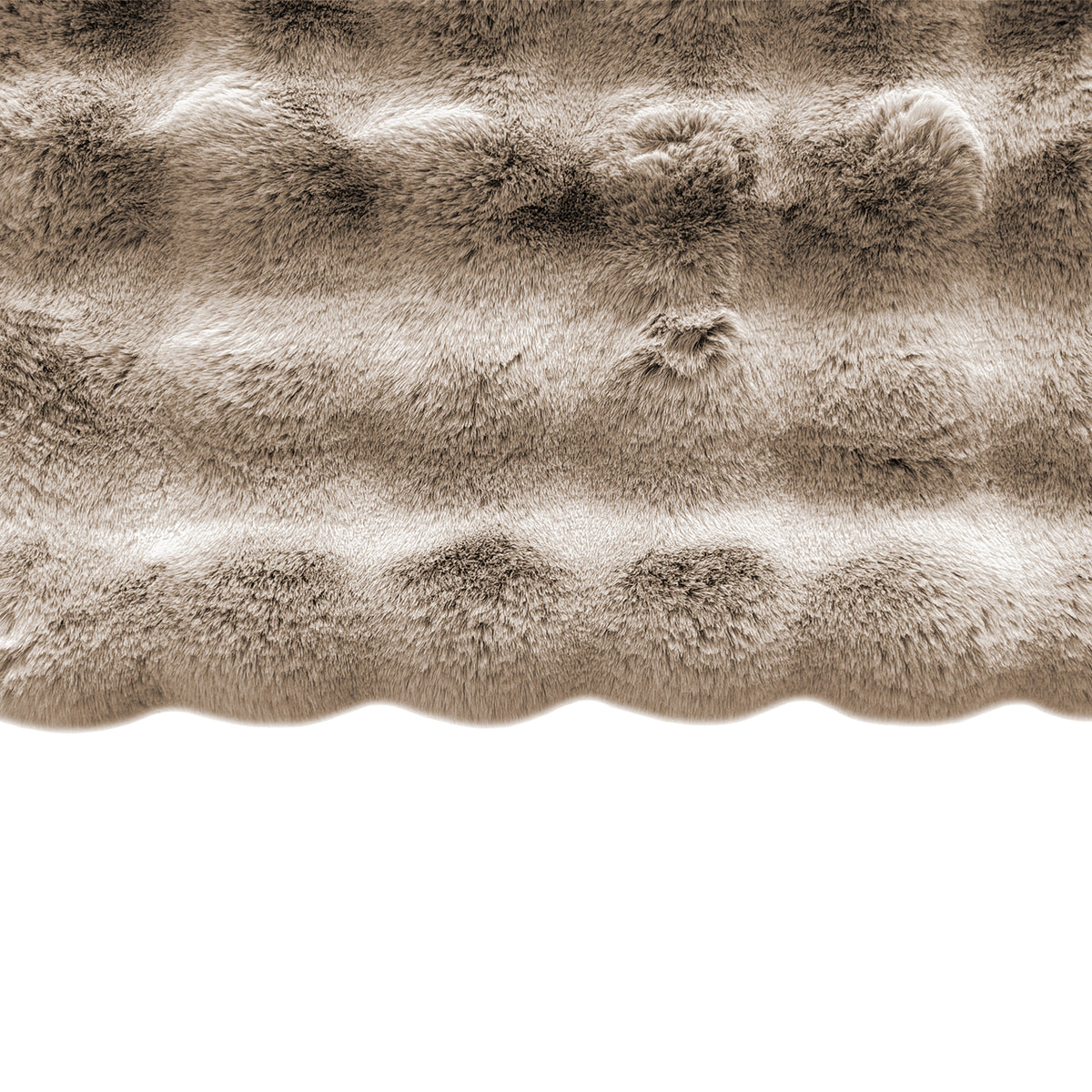 216387 image 4