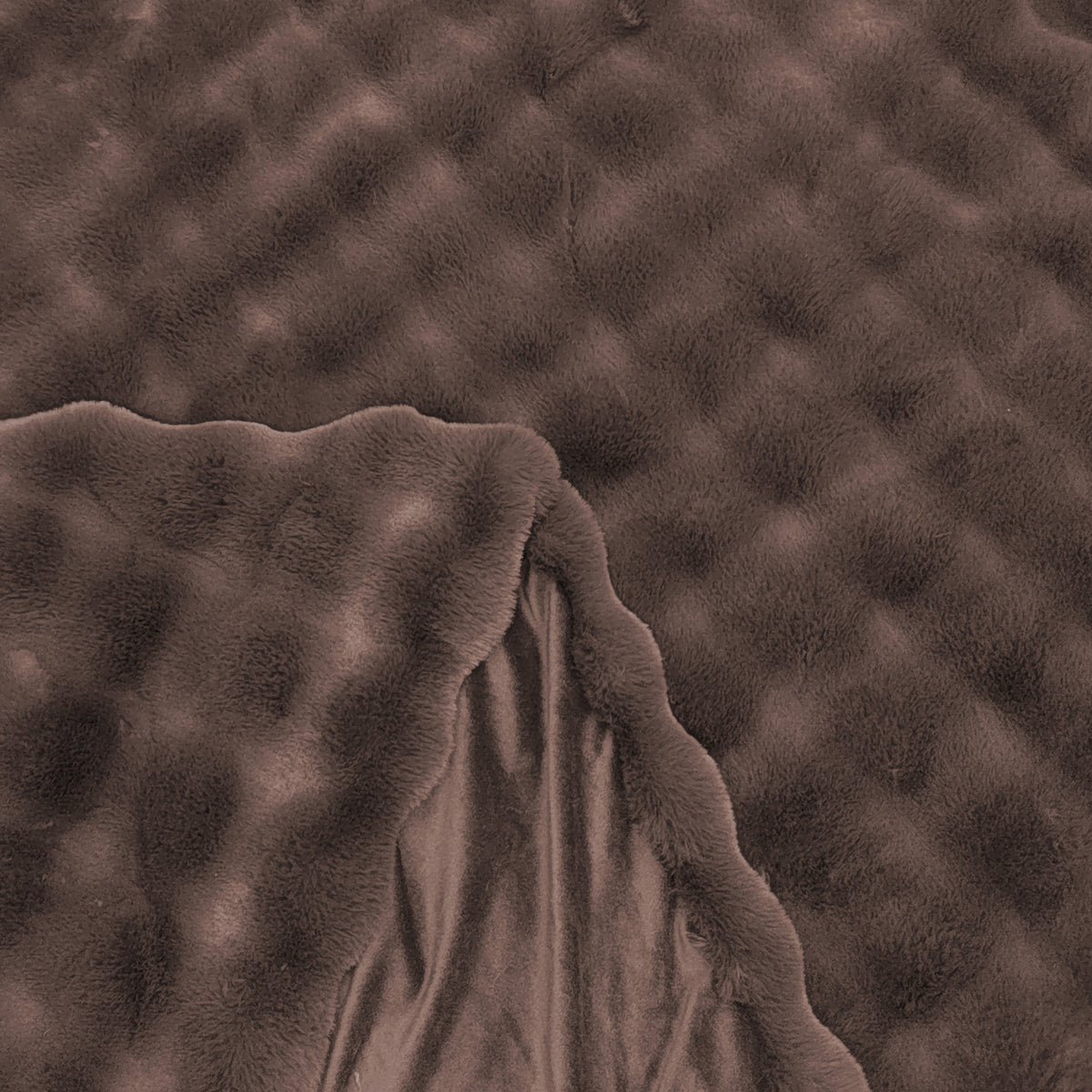216388 image 4