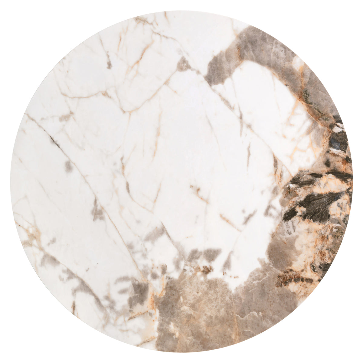 216451 image 4