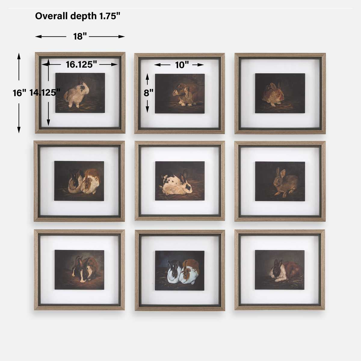 Uttermost Resting Bunny Framed Prints Set of 9