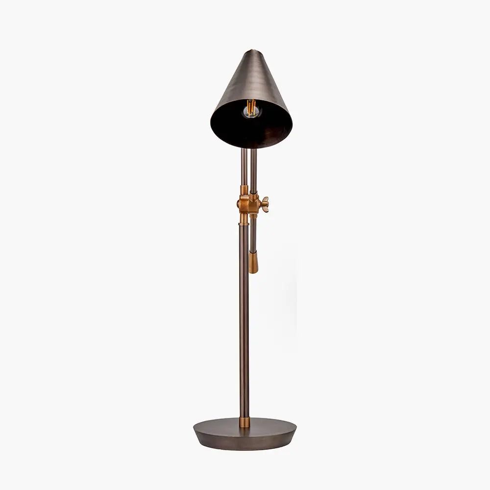 Emiliano Adjustable Floor Lamp - Antique Bronze & Brass  Nicholas John Interiors