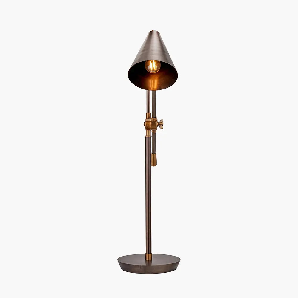 Emiliano Adjustable Floor Lamp - Antique Bronze & Brass  Nicholas John Interiors
