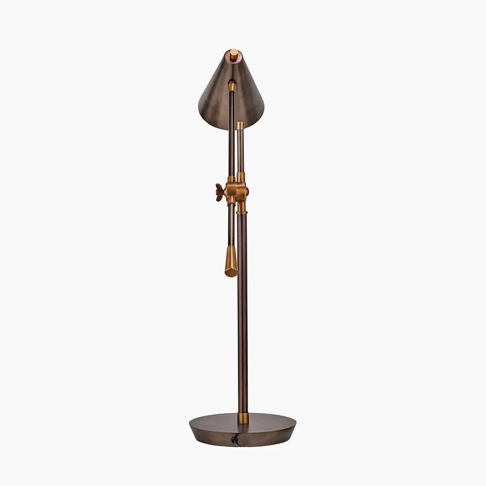 Emiliano Adjustable Floor Lamp - Antique Bronze & Brass  Nicholas John Interiors