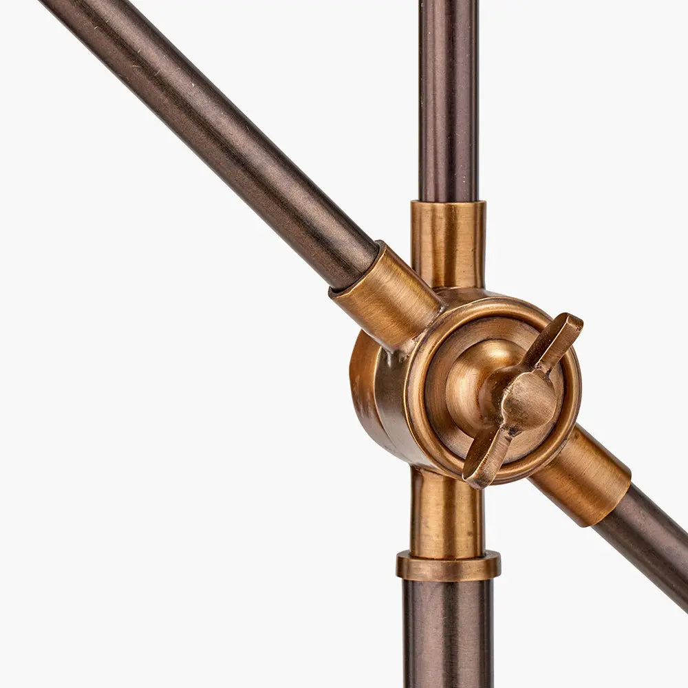 Emiliano Adjustable Floor Lamp - Antique Bronze & Brass  Nicholas John Interiors