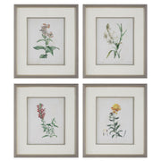  Heirloom Blooms Study Framed Prints Set/4