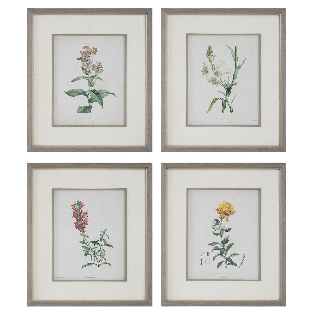  Heirloom Blooms Study Framed Prints Set/4