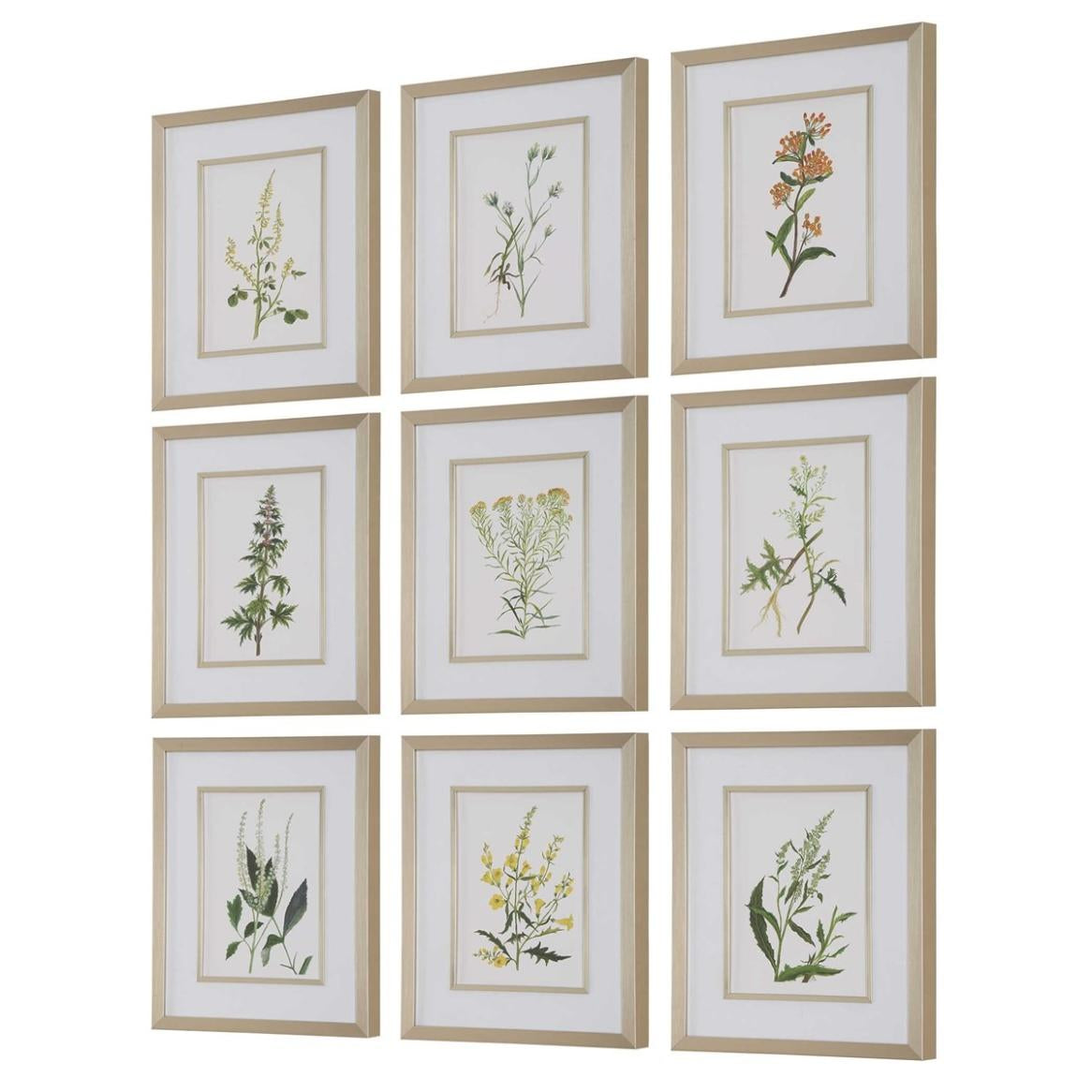 Uttermost Botanical Flowers Framed Prints, Set of 9