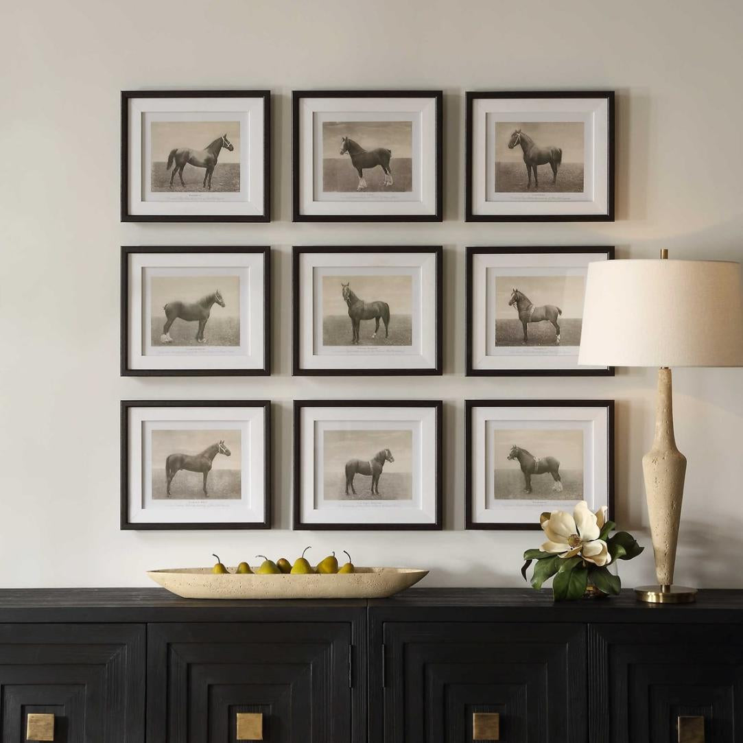 Uttermost Equine Dynasty Framed Prints, Set of 9