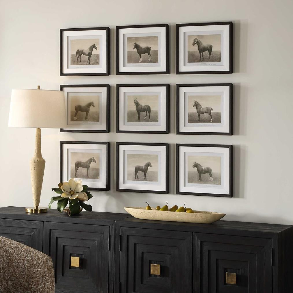 Uttermost Equine Dynasty Framed Prints, Set of 9