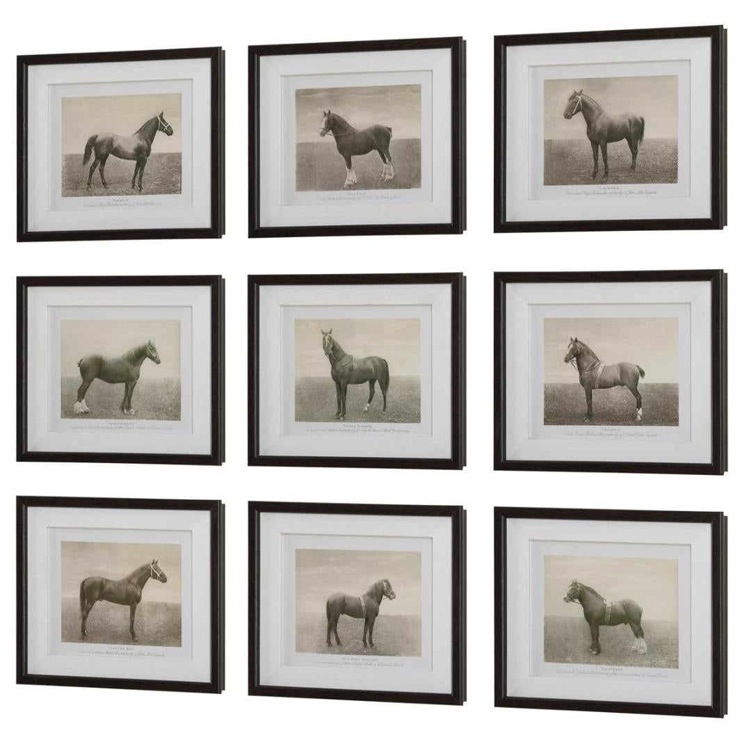 Uttermost Equine Dynasty Framed Prints, Set of 9