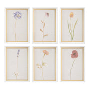Wild Flourish Framed Prints Set of 6