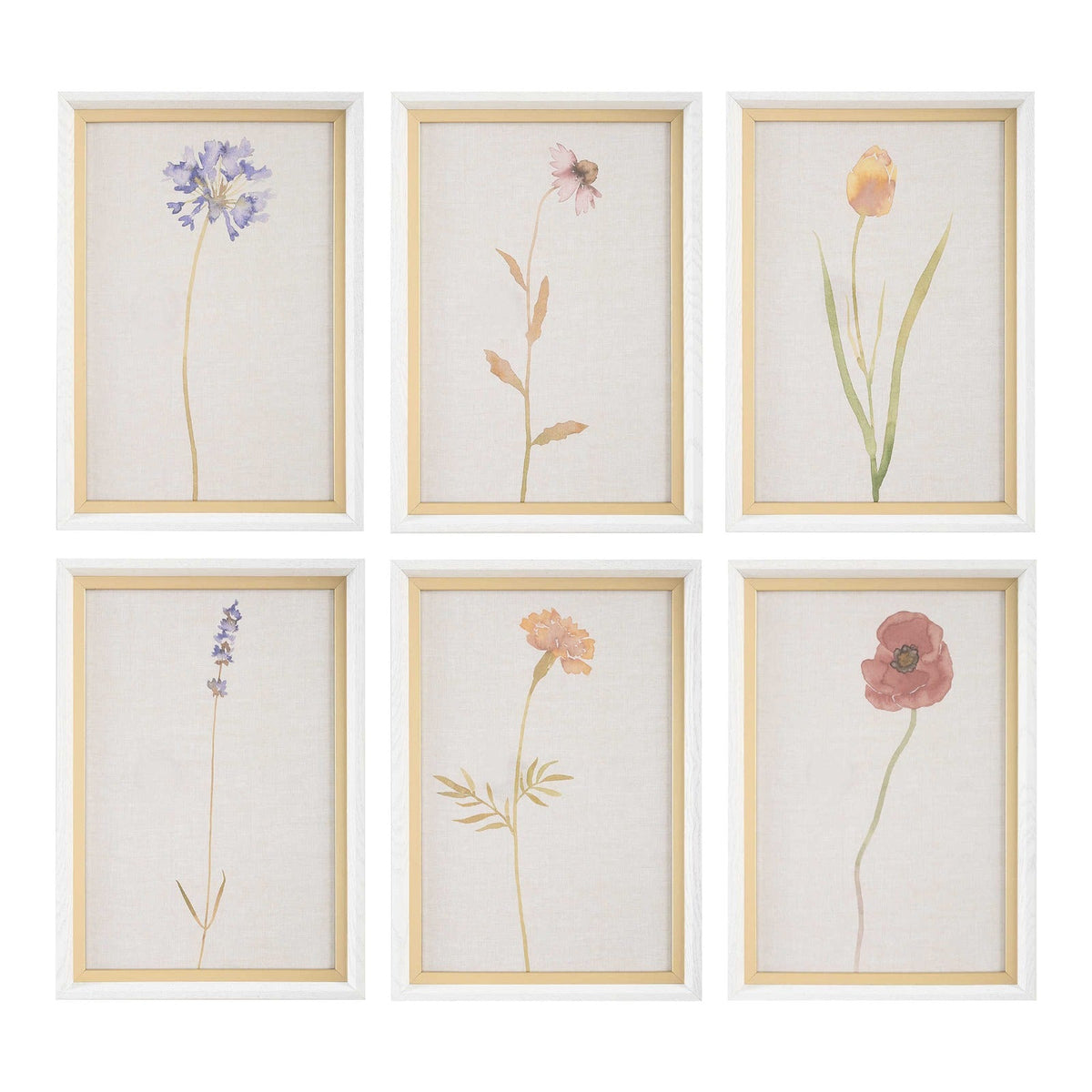 Wild Flourish Framed Prints Set of 6