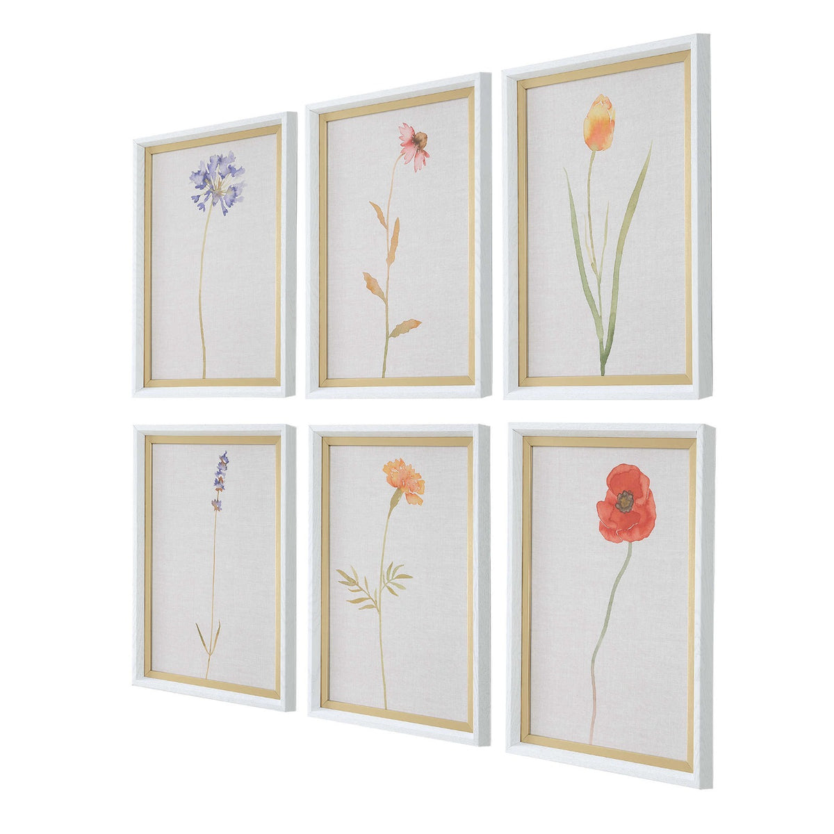 Uttermost Wild Flourish Framed Prints Set of 6