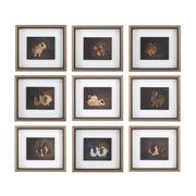 Resting Bunny Framed Prints Set of 9