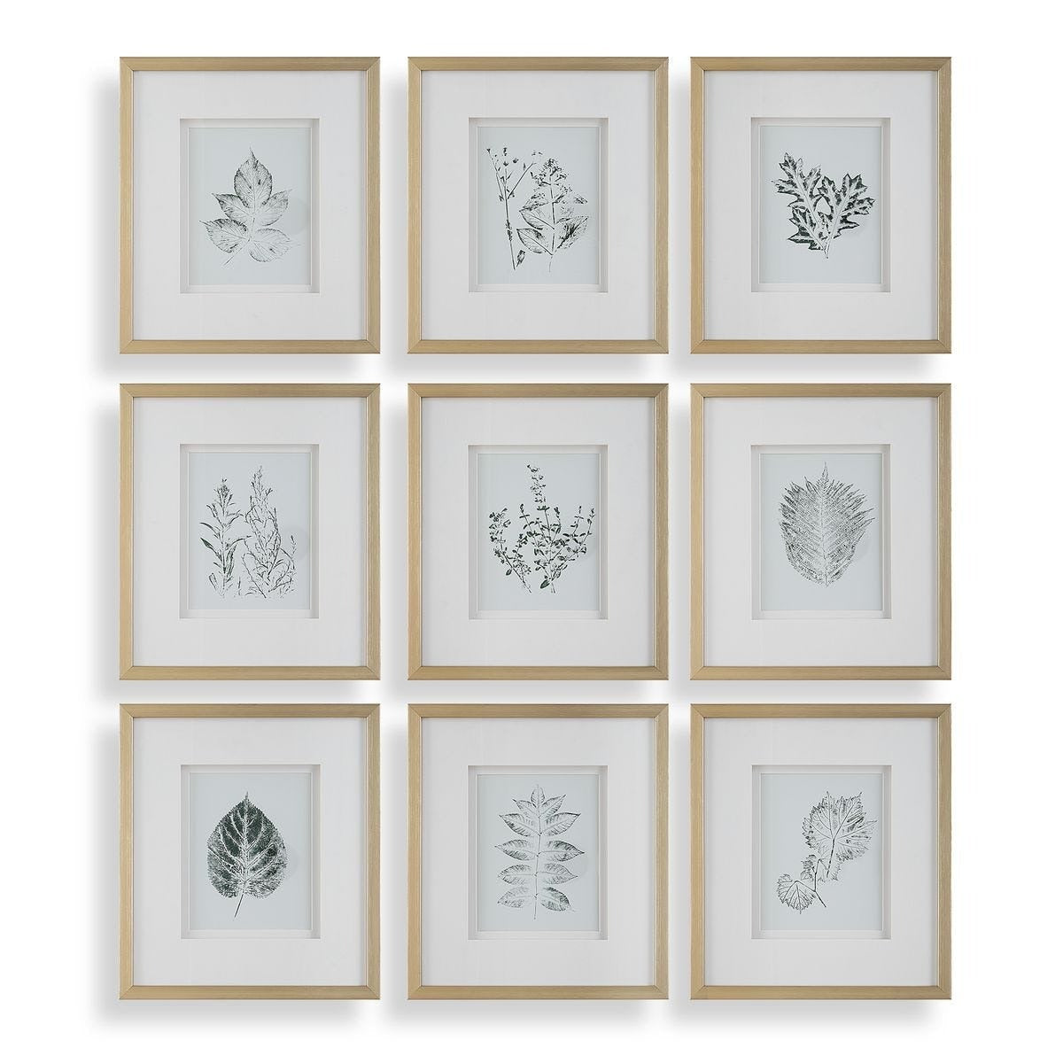 Nature's Script Framed Botanical Prints Set of 9