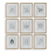 Nature's Script Framed Botanical Prints Set of 9