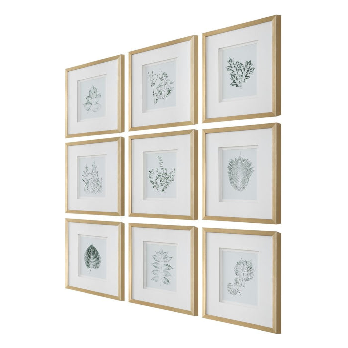Uttermost Nature's Script Framed Botanical Prints Set of 9