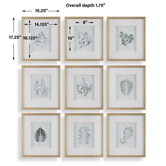 Uttermost Nature's Script Framed Botanical Prints Set of 9
