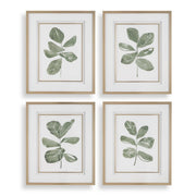 Fiddle Head Leaf Botanical Prints Set of 4