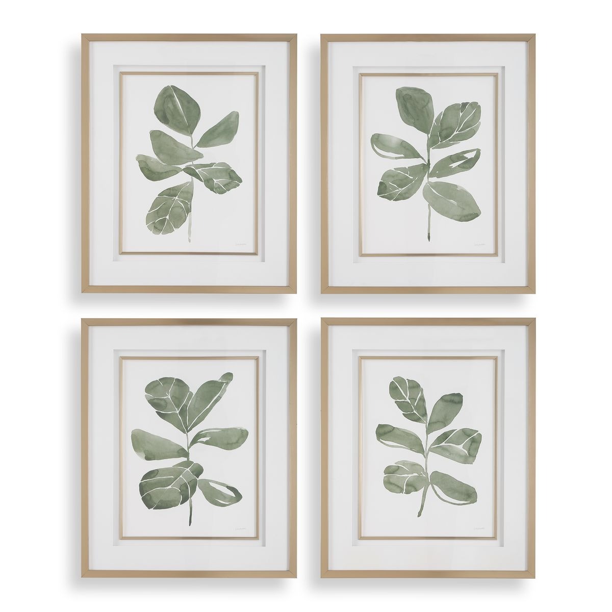 Fiddle Head Leaf Botanical Prints Set of 4