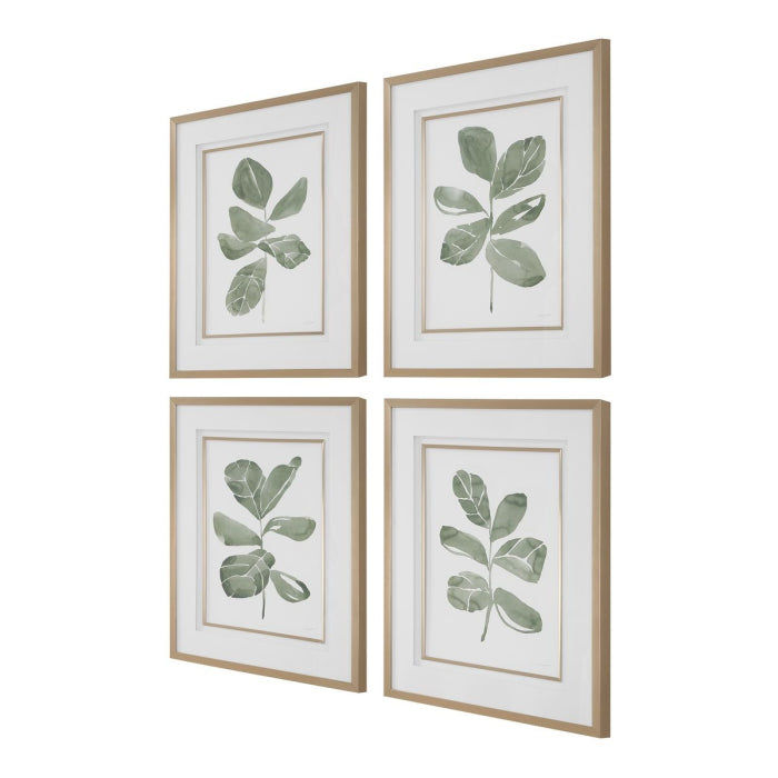 Uttermost Fiddle Head Leaf Botanical Prints Set of 4