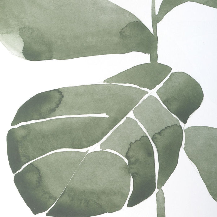 Uttermost Fiddle Head Leaf Botanical Prints Set of 4