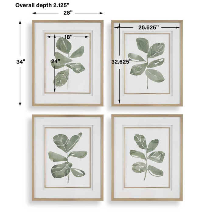 Uttermost Fiddle Head Leaf Botanical Prints Set of 4