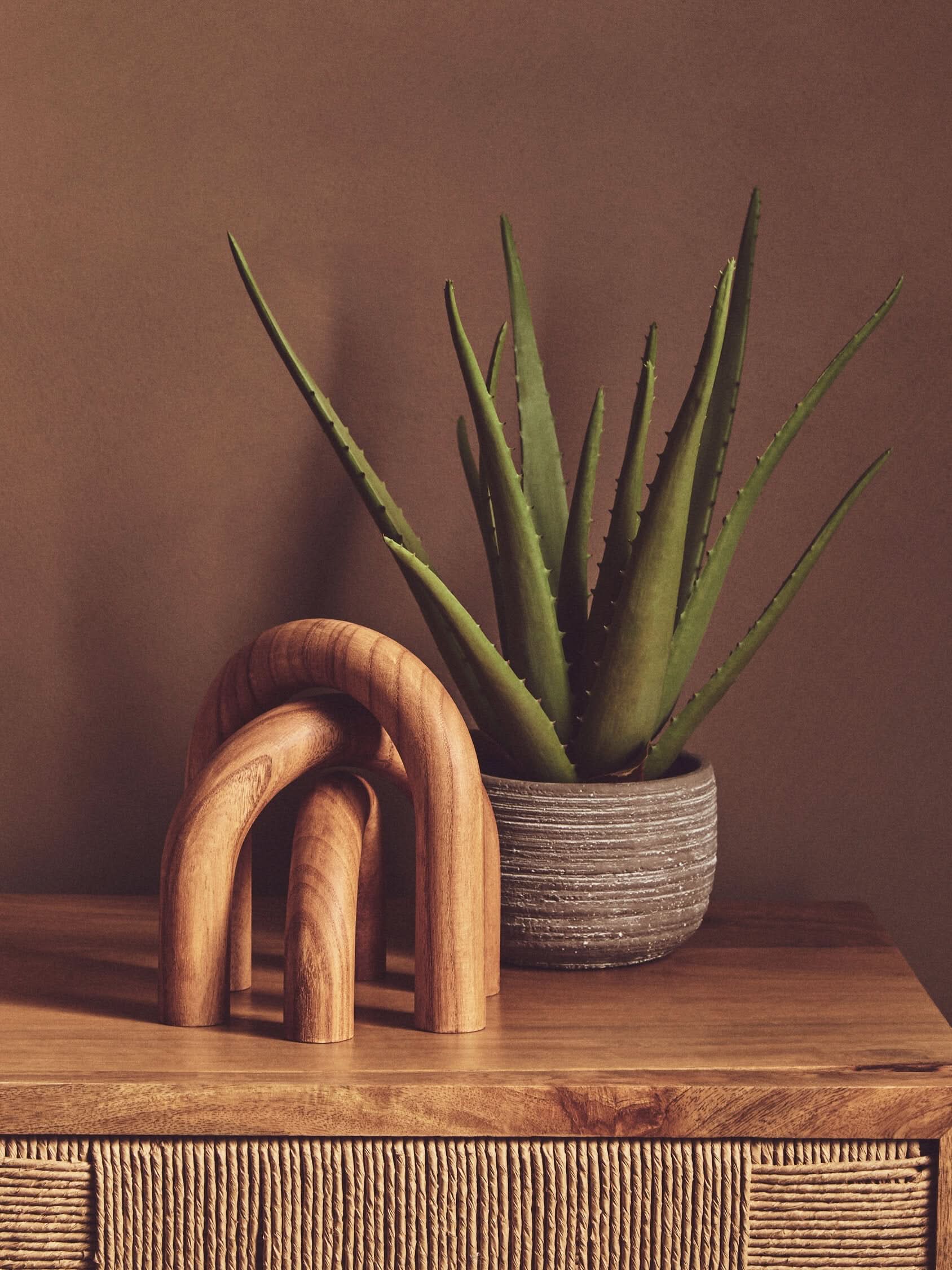 Cato Natural Wood Arch Sculpture   Nicholas John Interiors