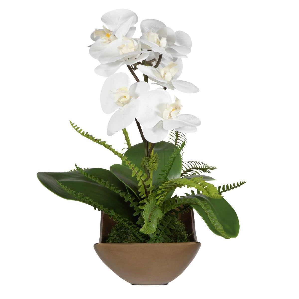 Uttermost Transcend Orchid