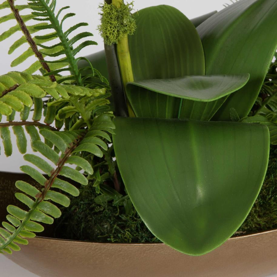 Uttermost Transcend Orchid