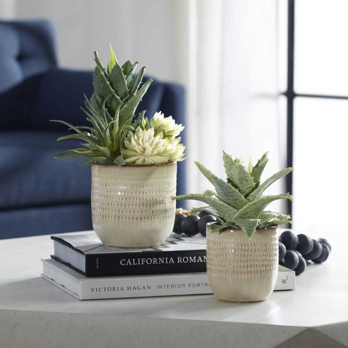 Uttermost Seaside Succulents - Set of 2
