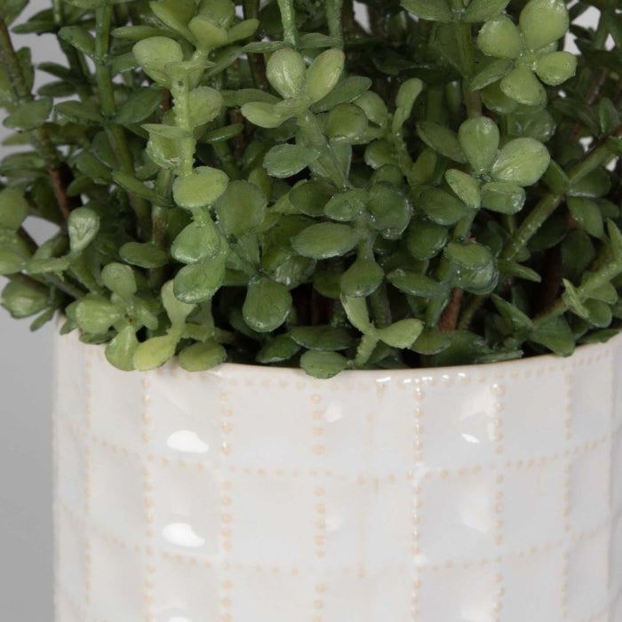 Uttermost Edgewood Greenery - Set of 2