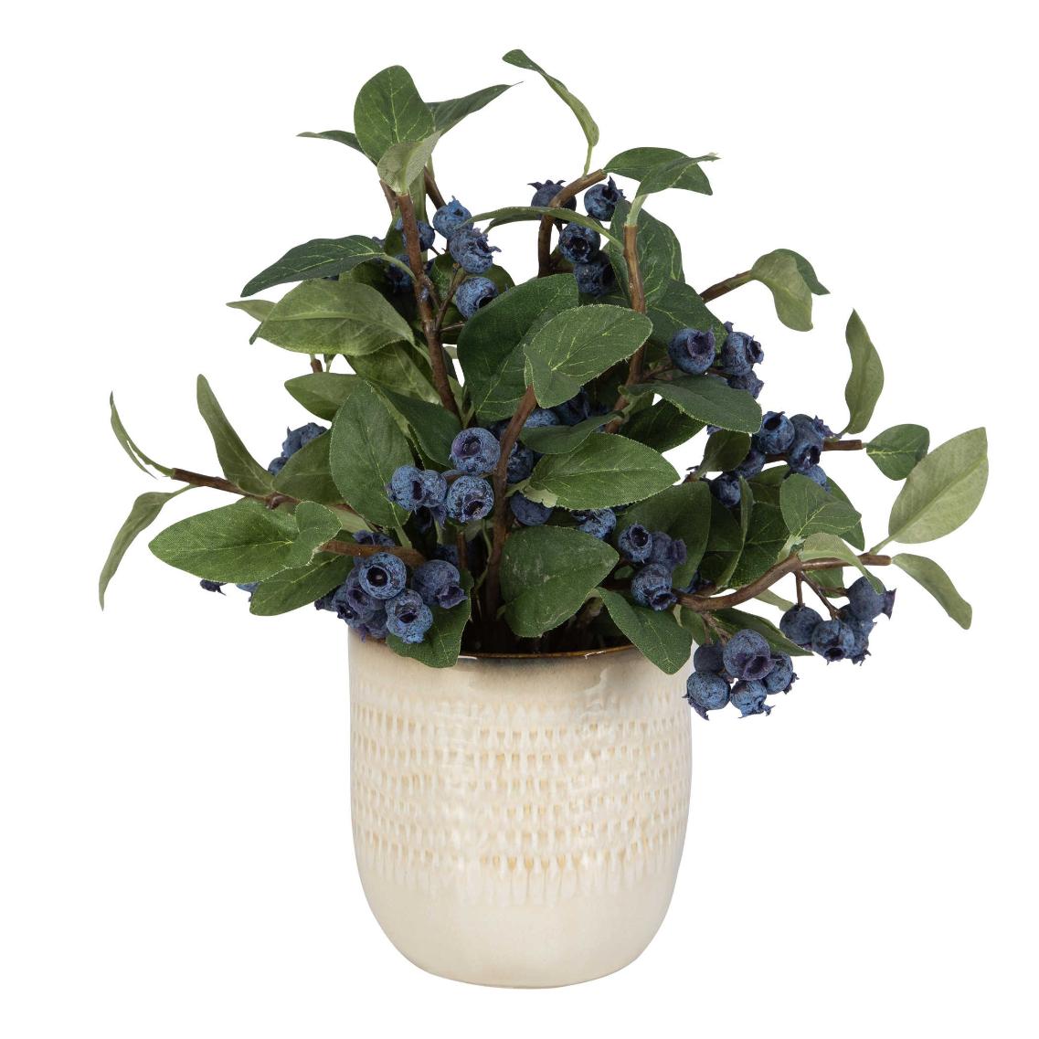  Blueberry Fields Accent