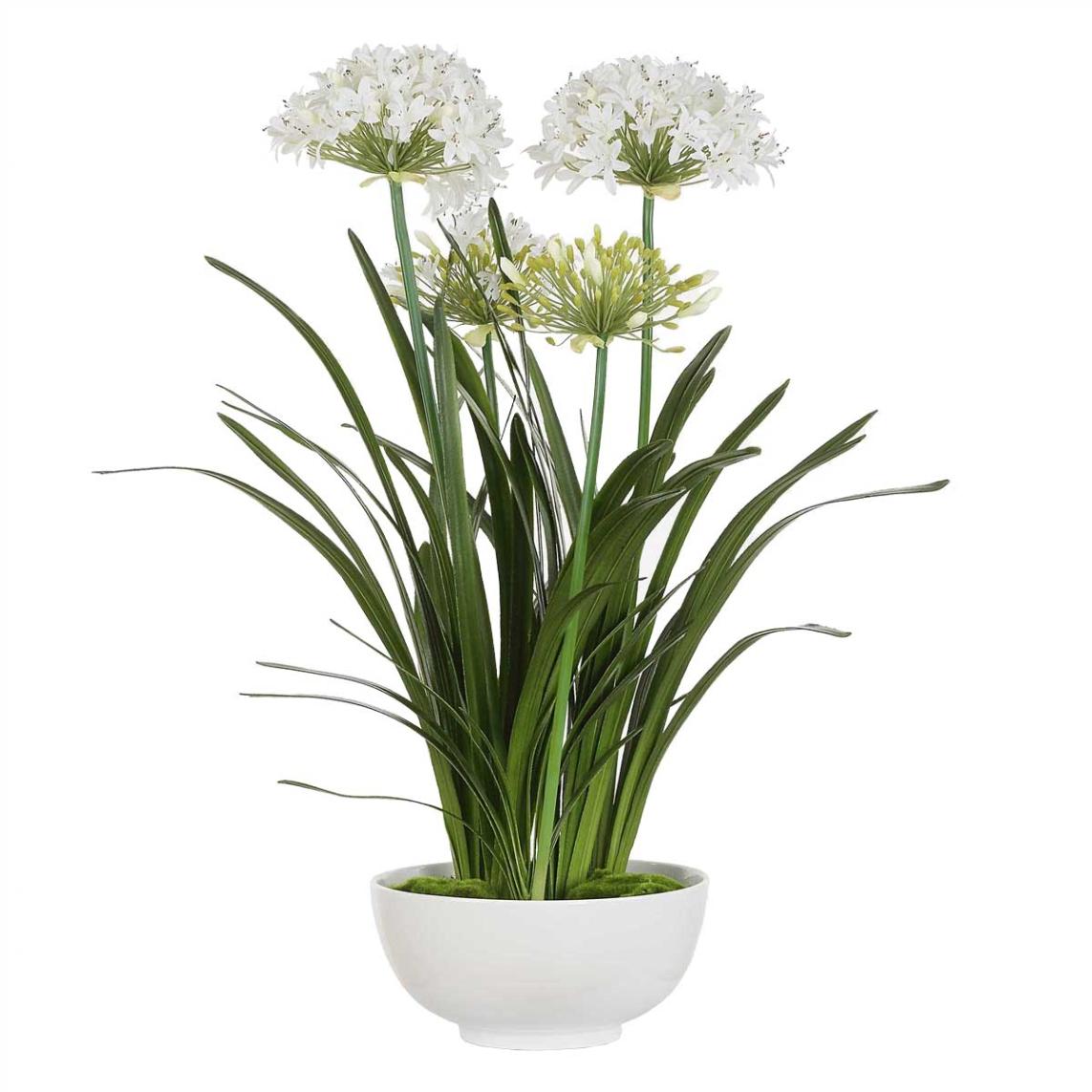 Purity Agapanthus Centerpiece