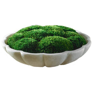 Awaken Moss Centerpiece