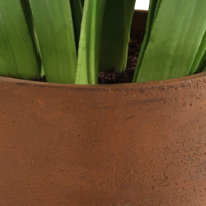 Uttermost Sincerity Potted Hyacinth Plant