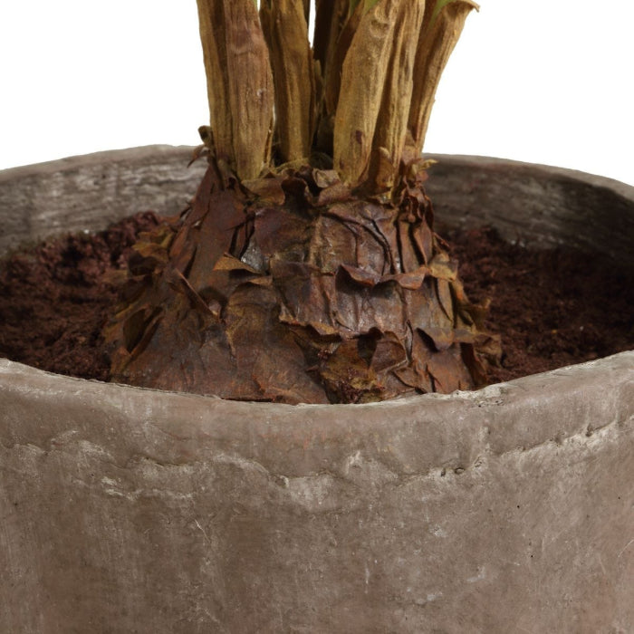 Uttermost Zamia Palm Accent In Planter