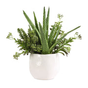 Sundown Succulent Accent Planter