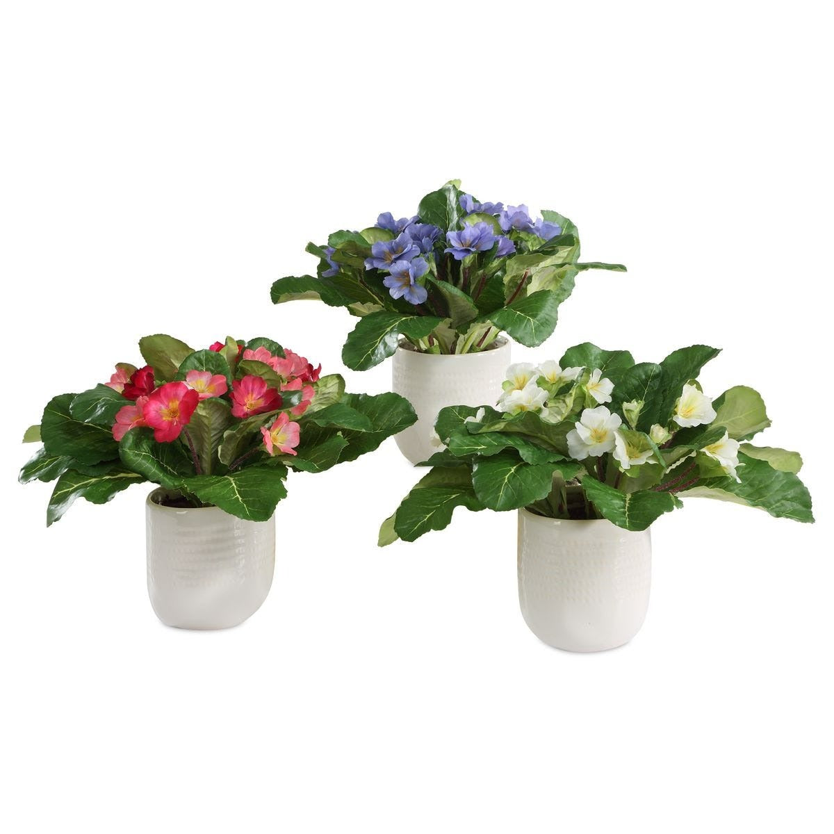 Trilogy Primrose Accents In Vases Set of 3