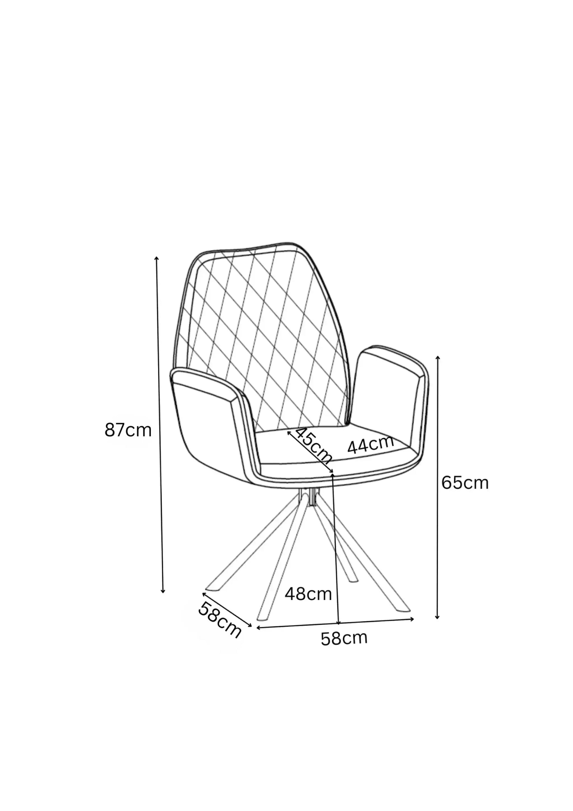 Alina Set of 2 Light Grey Swivel Dining Chairs  Nicholas John Interiors