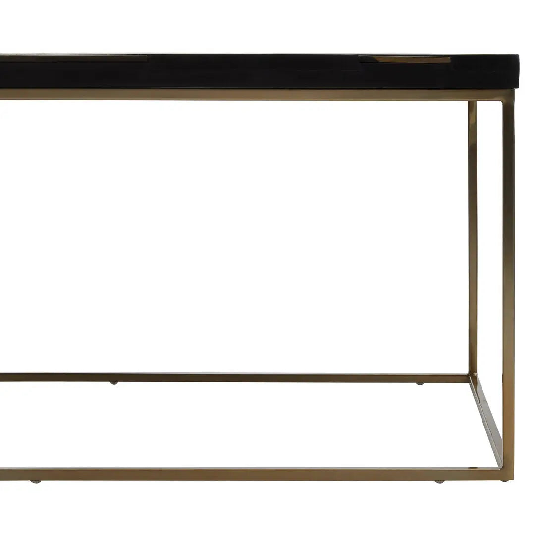 Arissa Black and Gold Coffee Table   Nicholas John Interiors