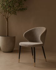 Bellroy Dining Chair - Giselle Charcoal   Nicholas John Interiors